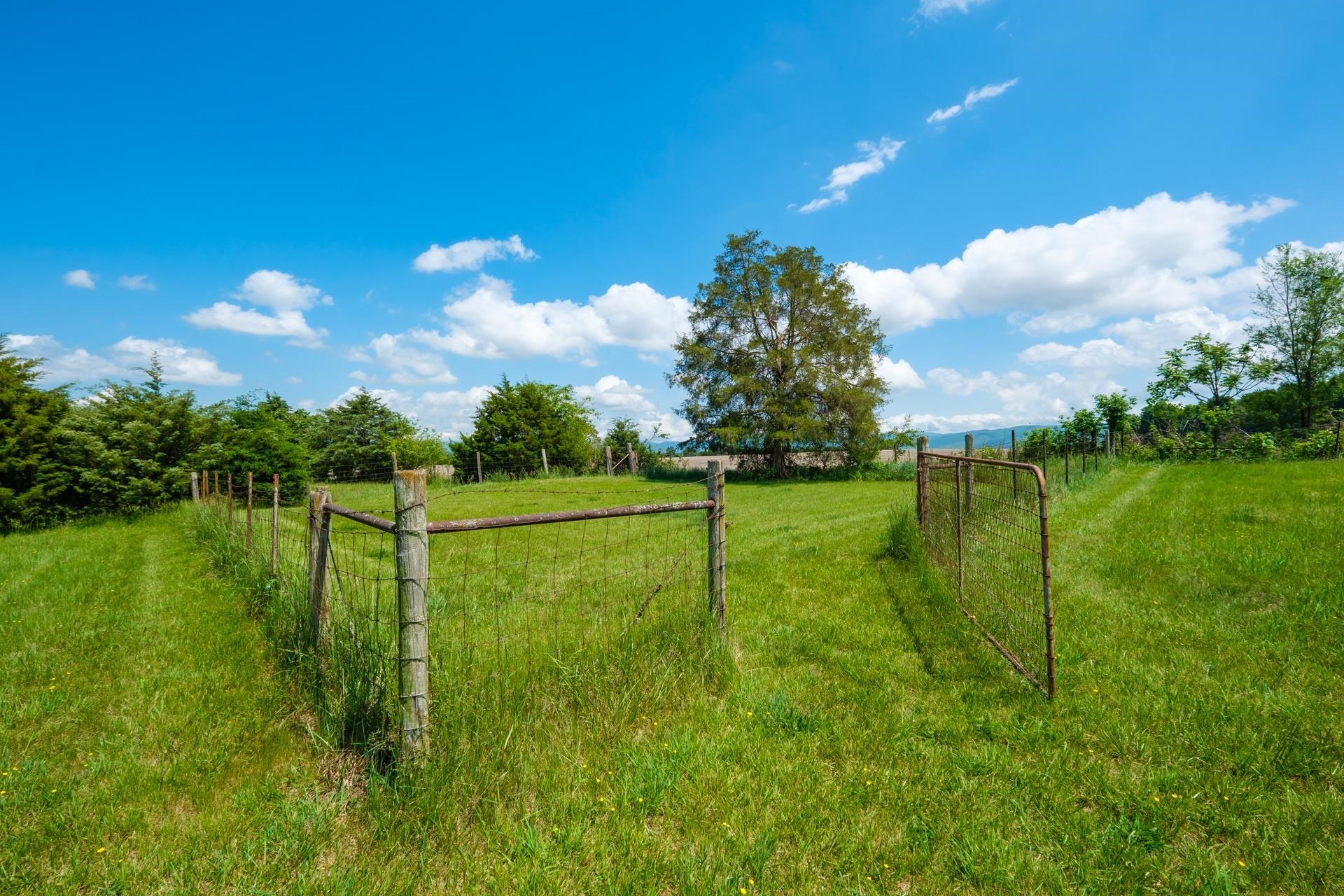 1927 PINEVILLE RD, MCGAHEYSVILLE, Virginia 22840, 3 Bedrooms Bedrooms, ,2 BathroomsBathrooms,Residential,1927 PINEVILLE RD,664626 MLS # 664626