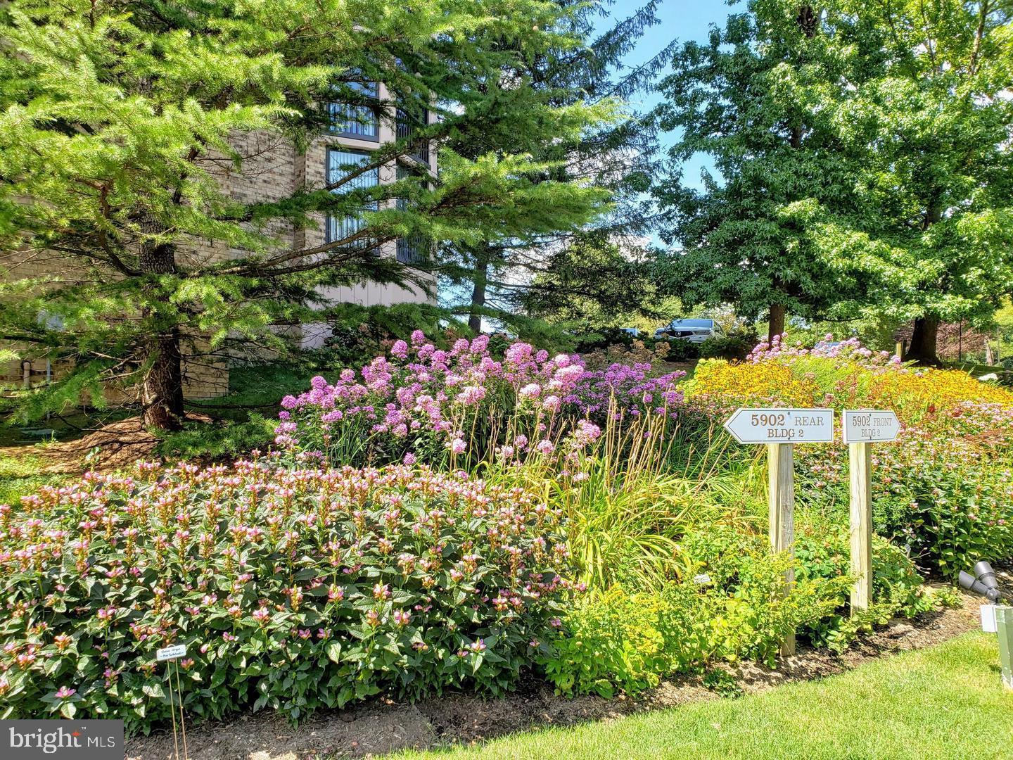 5901 MOUNT EAGLE DR #817, ALEXANDRIA, Virginia 22303, 1 Bedroom Bedrooms, ,1 BathroomBathrooms,Residential,For sale,5901 MOUNT EAGLE DR #817,VAFX2233974 MLS # VAFX2233974