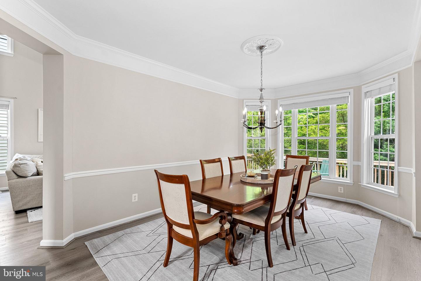 21894 WINDOVER DR, BROADLANDS, Virginia 20148, 4 Bedrooms Bedrooms, ,4 BathroomsBathrooms,Residential,For sale,21894 WINDOVER DR,VALO2094076 MLS # VALO2094076