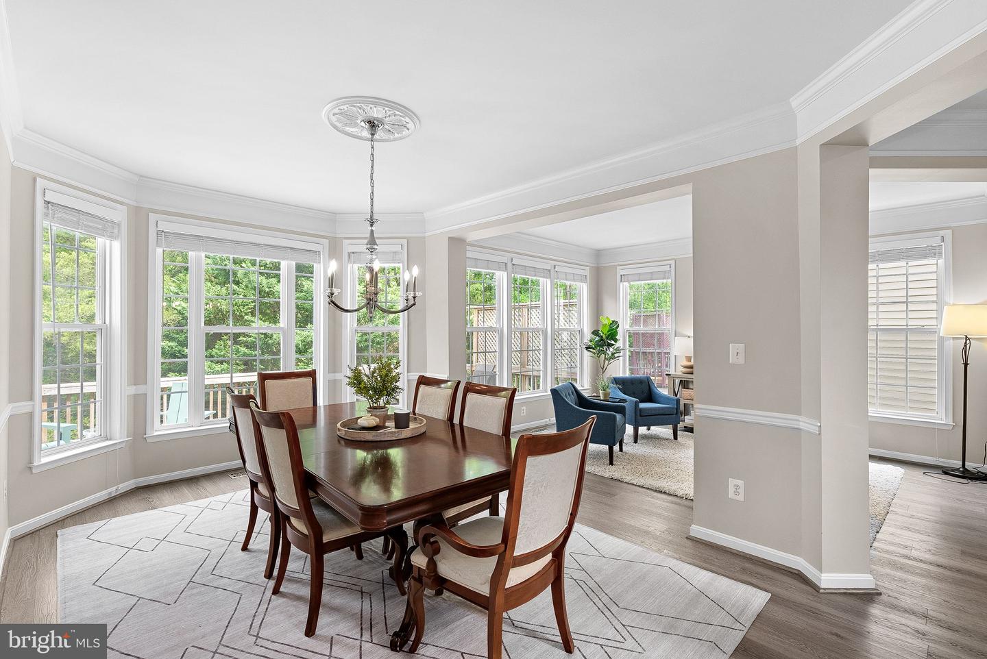 21894 WINDOVER DR, BROADLANDS, Virginia 20148, 4 Bedrooms Bedrooms, ,4 BathroomsBathrooms,Residential,For sale,21894 WINDOVER DR,VALO2094076 MLS # VALO2094076