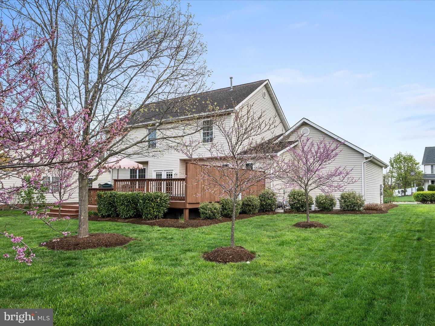 311 CLYDESDALE DR, STEPHENS CITY, Virginia 22655, 4 Bedrooms Bedrooms, ,2 BathroomsBathrooms,Residential,For sale,311 CLYDESDALE DR,VAFV2033504 MLS # VAFV2033504