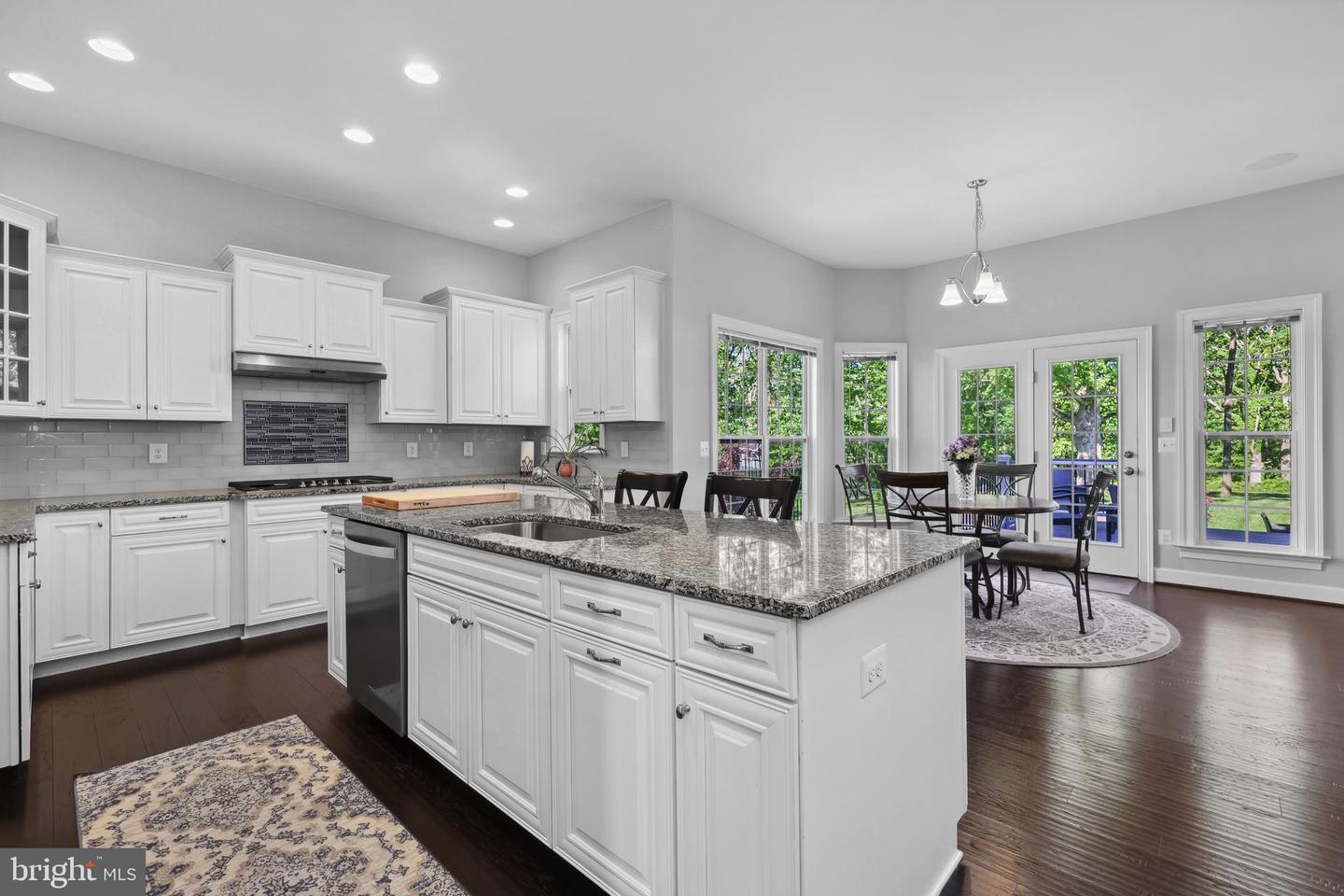 42438 BLACK TALON CT, LEESBURG, Virginia 20176, 5 Bedrooms Bedrooms, ,5 BathroomsBathrooms,Residential,For sale,42438 BLACK TALON CT,VALO2094530 MLS # VALO2094530