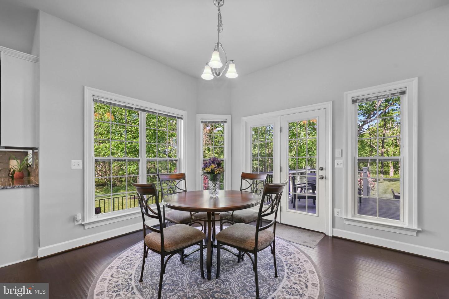 42438 BLACK TALON CT, LEESBURG, Virginia 20176, 5 Bedrooms Bedrooms, ,5 BathroomsBathrooms,Residential,For sale,42438 BLACK TALON CT,VALO2094530 MLS # VALO2094530