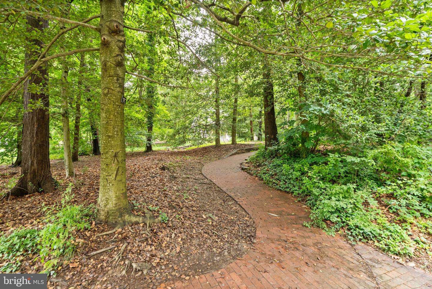 2240 HIGHLAND TER, FALLS CHURCH, Virginia 22046, ,Land,For sale,2240 HIGHLAND TER,VAFX2241422 MLS # VAFX2241422