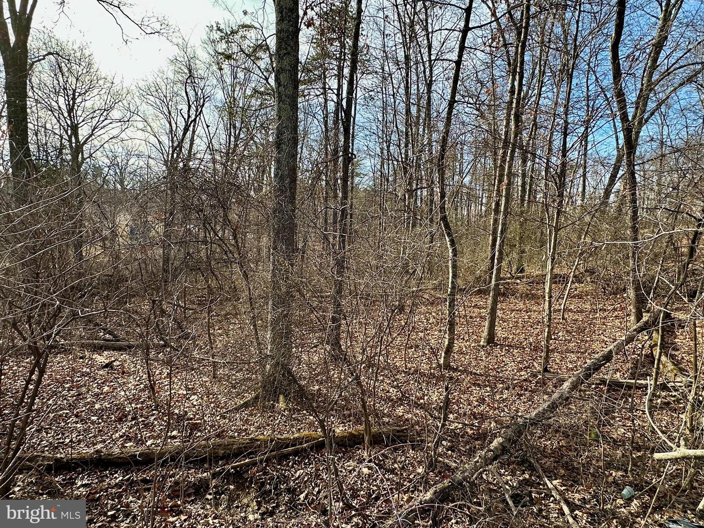 LOTS 7 & 8 MANOR DR, WINCHESTER, Virginia 22602, ,Land,For sale,LOTS 7 & 8 MANOR DR,VAFV2034236 MLS # VAFV2034236