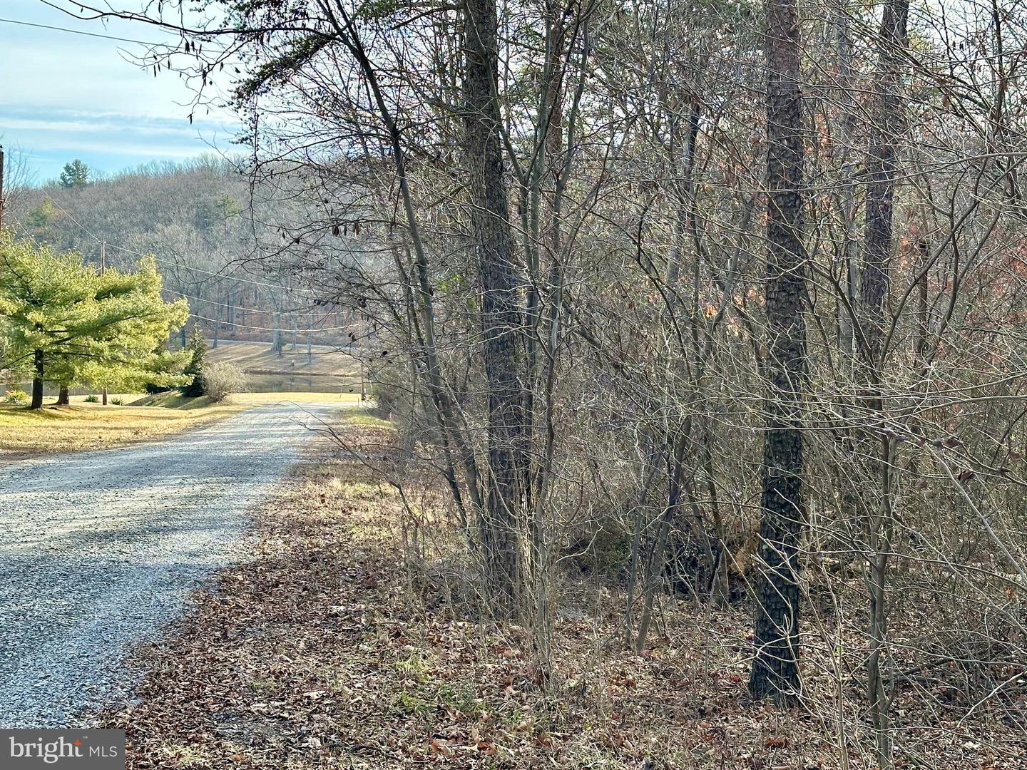 LOTS 7 & 8 MANOR DR, WINCHESTER, Virginia 22602, ,Land,For sale,LOTS 7 & 8 MANOR DR,VAFV2034236 MLS # VAFV2034236