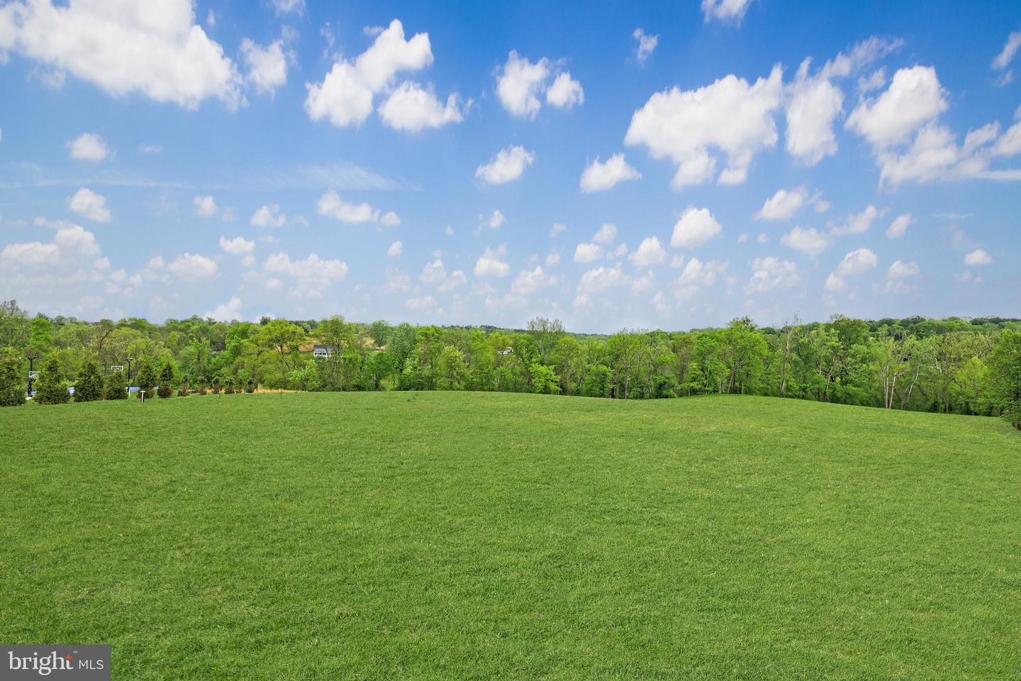19027 TELEGRAPH SPRINGS RD, PURCELLVILLE, Virginia 20132, 6 Bedrooms Bedrooms, ,6 BathroomsBathrooms,Residential,For sale,19027 TELEGRAPH SPRINGS RD,VALO2095826 MLS # VALO2095826