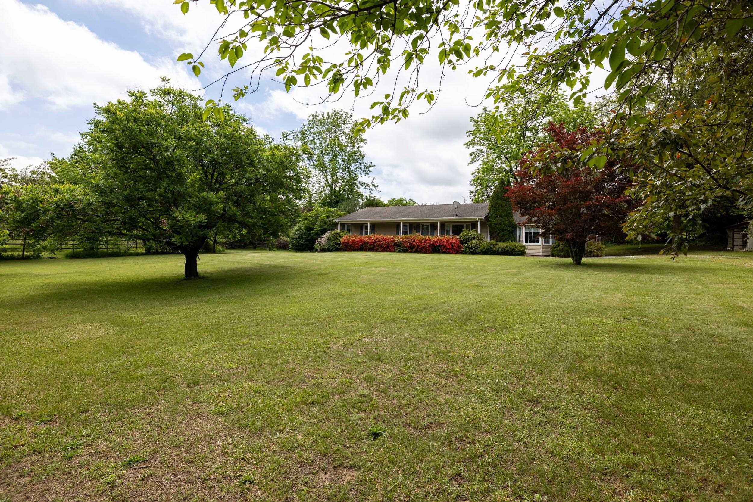 2810 SCENIC RD, ELKTON, Virginia 22827, 3 Bedrooms Bedrooms, ,2 BathroomsBathrooms,Residential,2810 SCENIC RD,664636 MLS # 664636