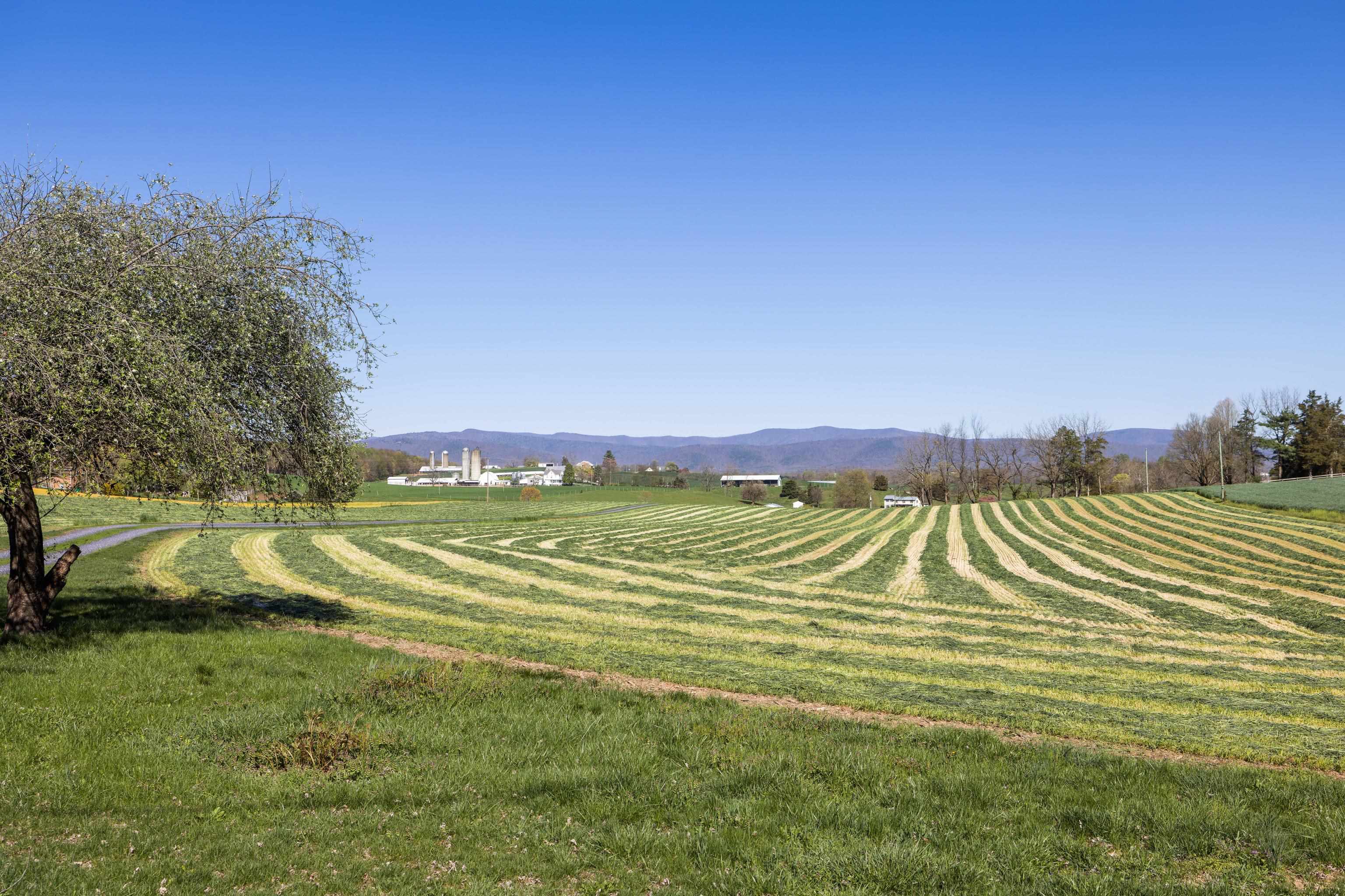 3599 LUMBER MILL RD, DAYTON, Virginia 22821, 5 Bedrooms Bedrooms, ,2 BathroomsBathrooms,Residential,3599 LUMBER MILL RD,664639 MLS # 664639