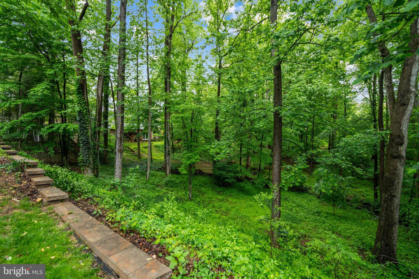6703 PORTREE CT, SPRINGFIELD, Virginia 22152, 5 Bedrooms Bedrooms, 15 Rooms Rooms,3 BathroomsBathrooms,Residential,For sale,6703 PORTREE CT,VAFX2239452 MLS # VAFX2239452