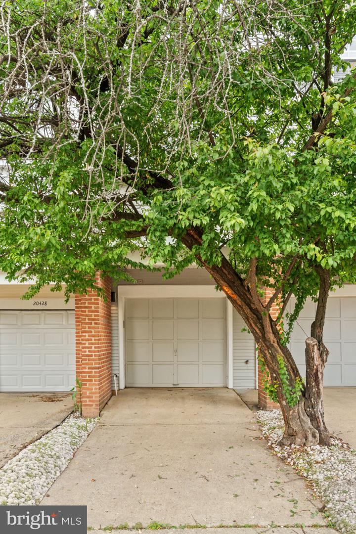 20432 COOL FERN SQ, ASHBURN, Virginia 20147, 2 Bedrooms Bedrooms, ,2 BathroomsBathrooms,Residential,For sale,20432 COOL FERN SQ,VALO2096062 MLS # VALO2096062