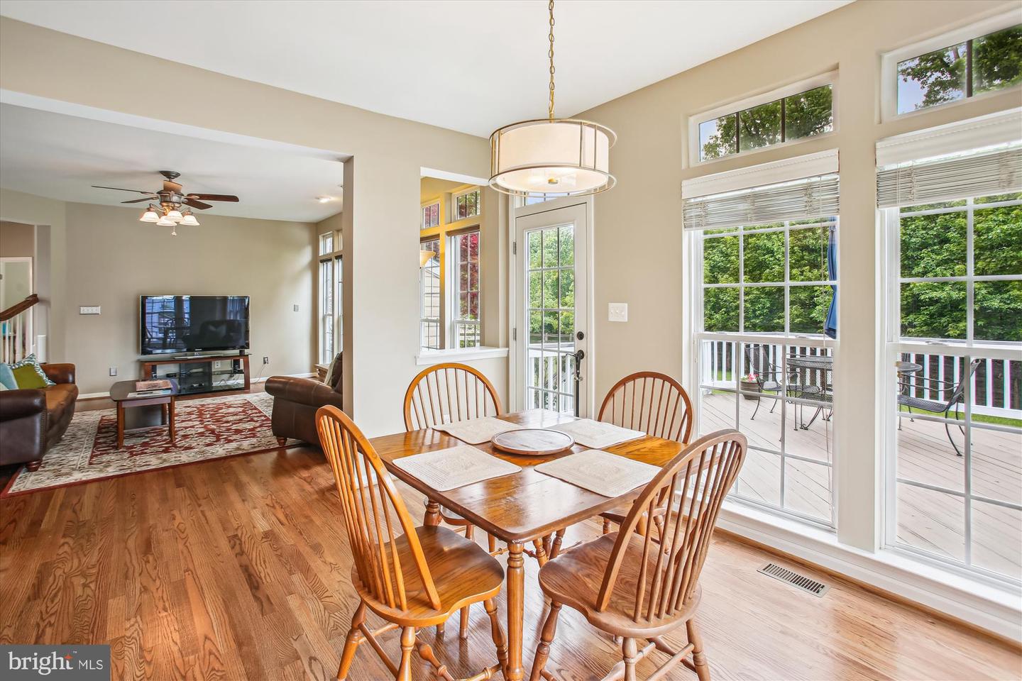 25501 TOMEY CT, ALDIE, Virginia 20105, 4 Bedrooms Bedrooms, ,3 BathroomsBathrooms,Residential,For sale,25501 TOMEY CT,VALO2096212 MLS # VALO2096212