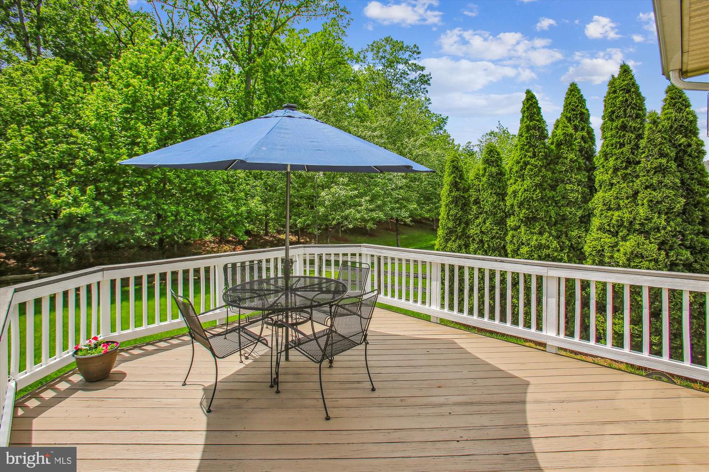 25501 TOMEY CT, ALDIE, Virginia 20105, 4 Bedrooms Bedrooms, ,3 BathroomsBathrooms,Residential,For sale,25501 TOMEY CT,VALO2096212 MLS # VALO2096212