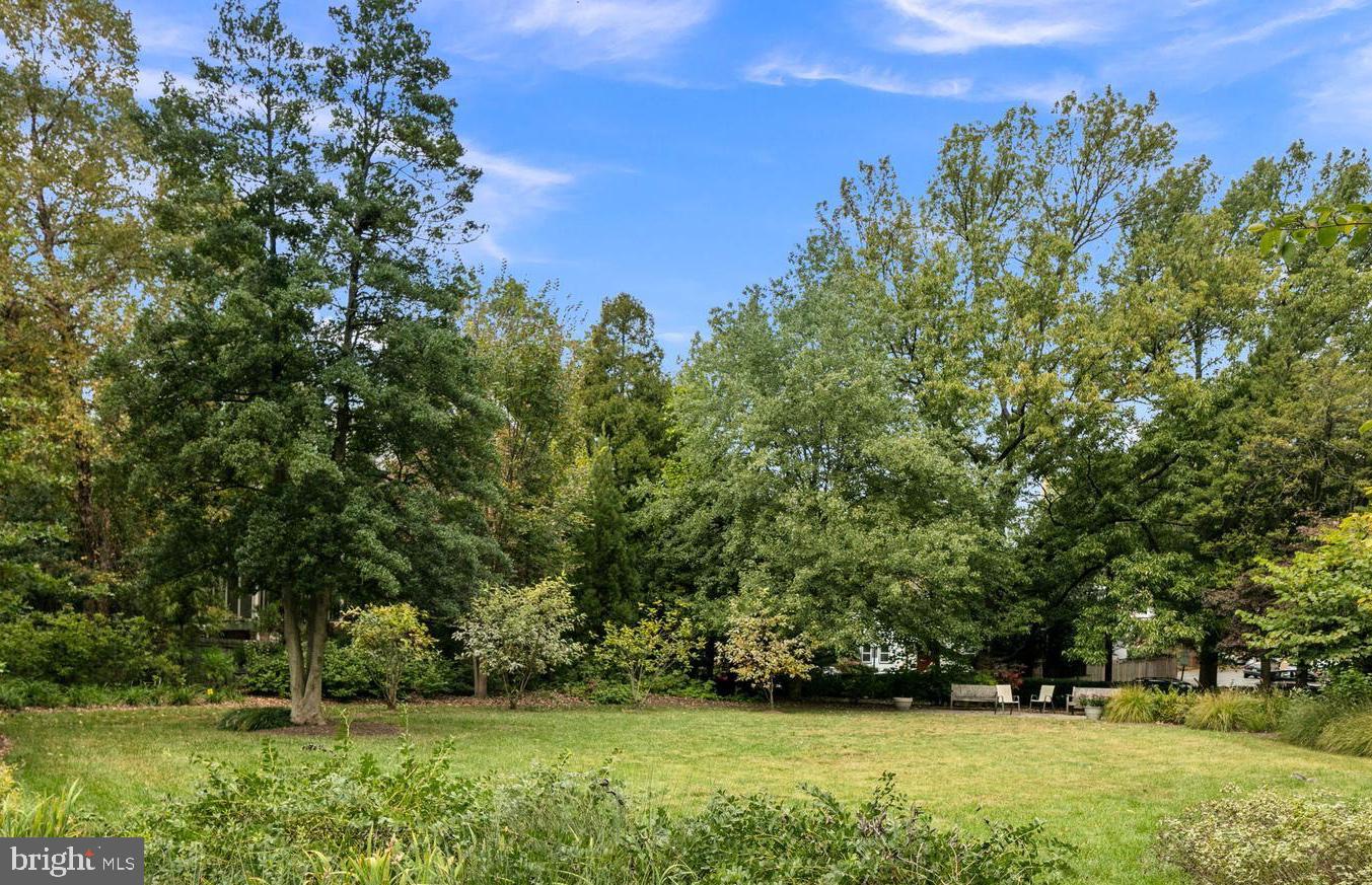4600 CONNECTICUT AVE NW #306, WASHINGTON, District Of Columbia 20008, 2 Bedrooms Bedrooms, ,2 BathroomsBathrooms,Residential,For sale,4600 CONNECTICUT AVE NW #306,DCDC2200844 MLS # DCDC2200844
