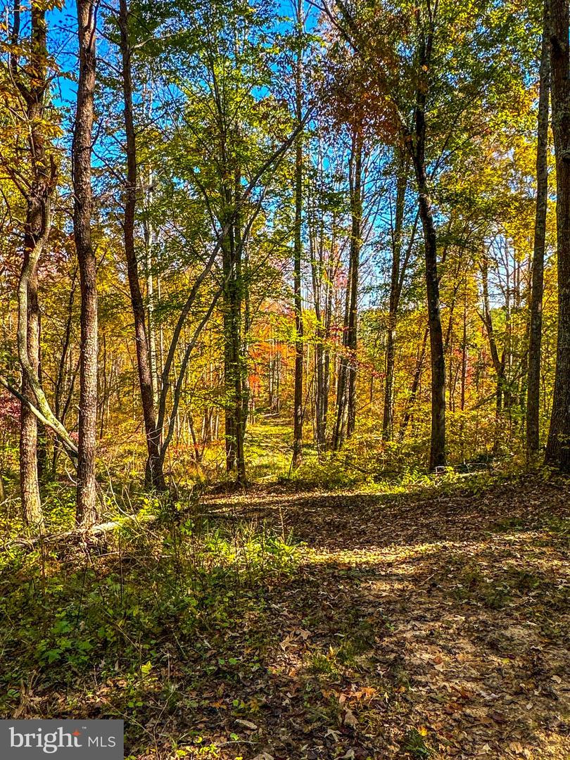 2052 TWENTY TWO RD, PAMPLIN, Virginia 23958, 3 Bedrooms Bedrooms, 8 Rooms Rooms,3 BathroomsBathrooms,Residential,For sale,2052 TWENTY TWO RD,VAPE2000080 MLS # VAPE2000080