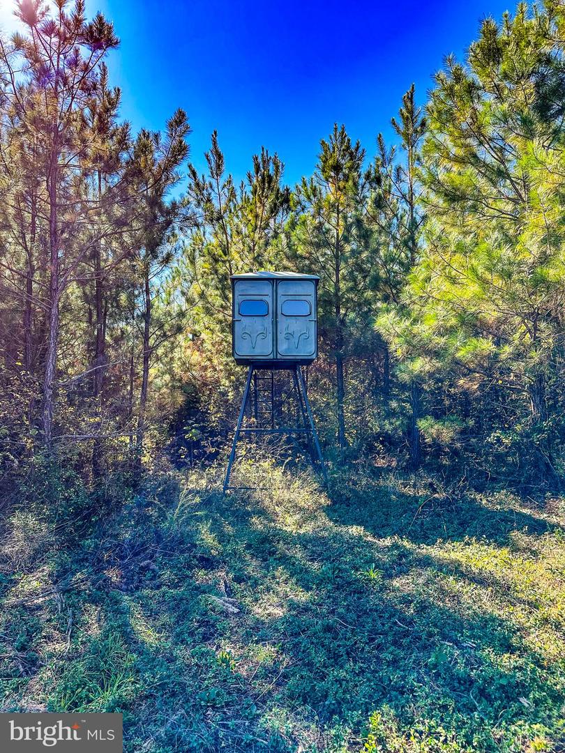 2052 TWENTY TWO RD, PAMPLIN, Virginia 23958, 3 Bedrooms Bedrooms, 8 Rooms Rooms,3 BathroomsBathrooms,Residential,For sale,2052 TWENTY TWO RD,VAPE2000080 MLS # VAPE2000080