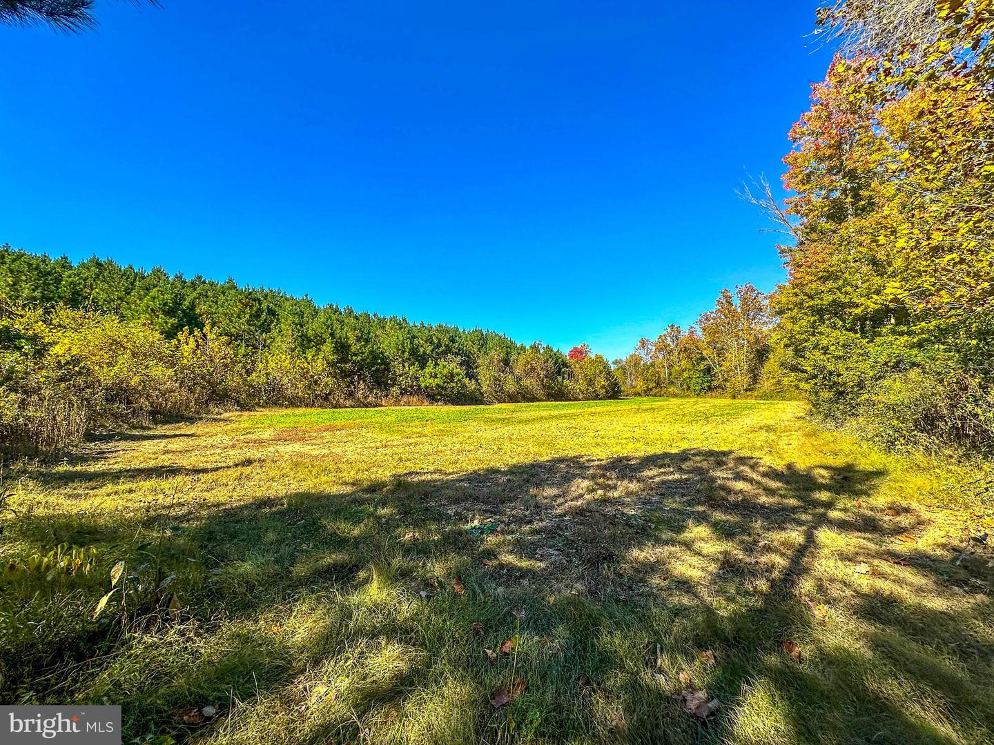 2052 TWENTY TWO RD, PAMPLIN, Virginia 23958, 3 Bedrooms Bedrooms, 8 Rooms Rooms,3 BathroomsBathrooms,Residential,For sale,2052 TWENTY TWO RD,VAPE2000080 MLS # VAPE2000080