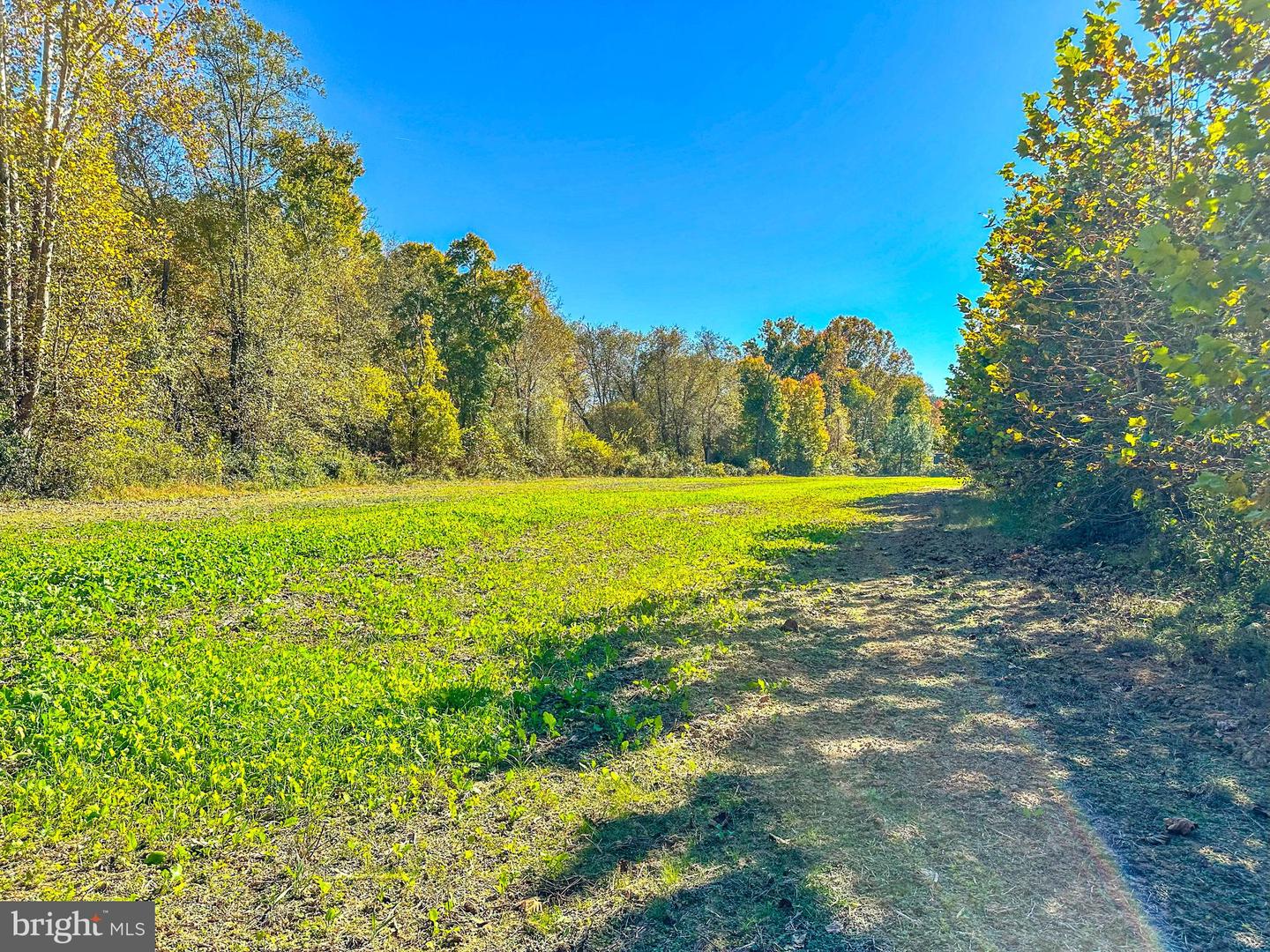 2052 TWENTY TWO RD, PAMPLIN, Virginia 23958, 3 Bedrooms Bedrooms, 8 Rooms Rooms,3 BathroomsBathrooms,Residential,For sale,2052 TWENTY TWO RD,VAPE2000080 MLS # VAPE2000080