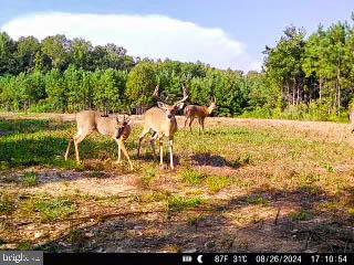 2052 TWENTY TWO RD, PAMPLIN, Virginia 23958, 3 Bedrooms Bedrooms, 8 Rooms Rooms,3 BathroomsBathrooms,Residential,For sale,2052 TWENTY TWO RD,VAPE2000080 MLS # VAPE2000080