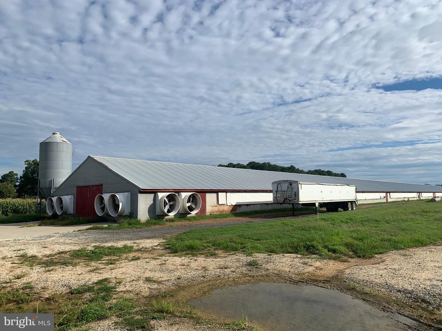 10091 ATLANTIC RD, ATLANTIC, Virginia 23303, ,Farm,For sale,10091 ATLANTIC RD,VAAC2000290 MLS # VAAC2000290