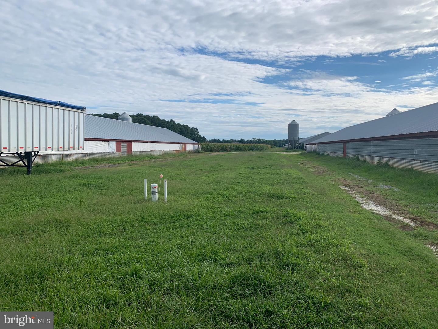 10091 ATLANTIC RD, ATLANTIC, Virginia 23303, ,Farm,For sale,10091 ATLANTIC RD,VAAC2000290 MLS # VAAC2000290