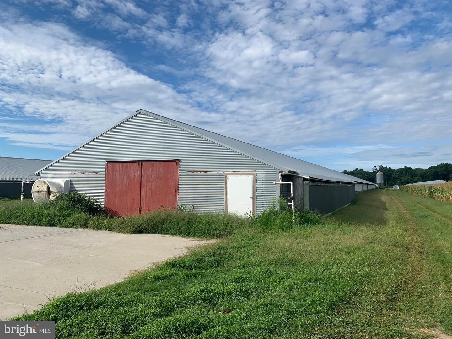 10091 ATLANTIC RD, ATLANTIC, Virginia 23303, ,Farm,For sale,10091 ATLANTIC RD,VAAC2000290 MLS # VAAC2000290
