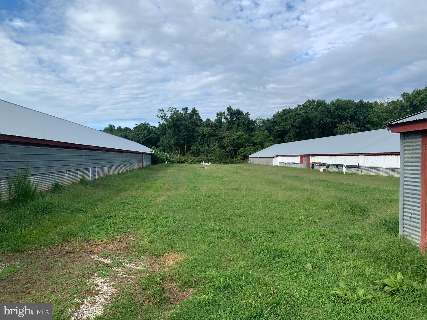 10091 ATLANTIC RD, ATLANTIC, Virginia 23303, ,Farm,For sale,10091 ATLANTIC RD,VAAC2000290 MLS # VAAC2000290