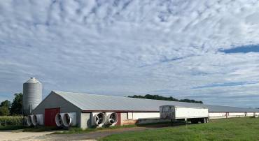 10091 ATLANTIC RD, ATLANTIC, Virginia 23303, ,Farm,For sale,10091 ATLANTIC RD,VAAC2000290 MLS # VAAC2000290