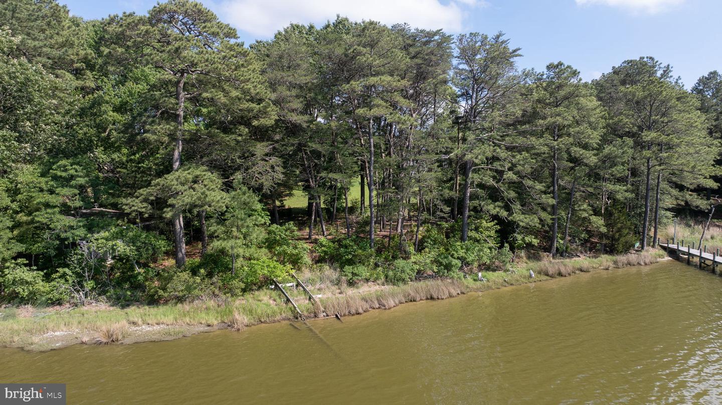 10471 OCCOHANNOCK BLVD, EXMORE, Virginia 23350, ,Land,For sale,10471 OCCOHANNOCK BLVD,VANH2000048 MLS # VANH2000048
