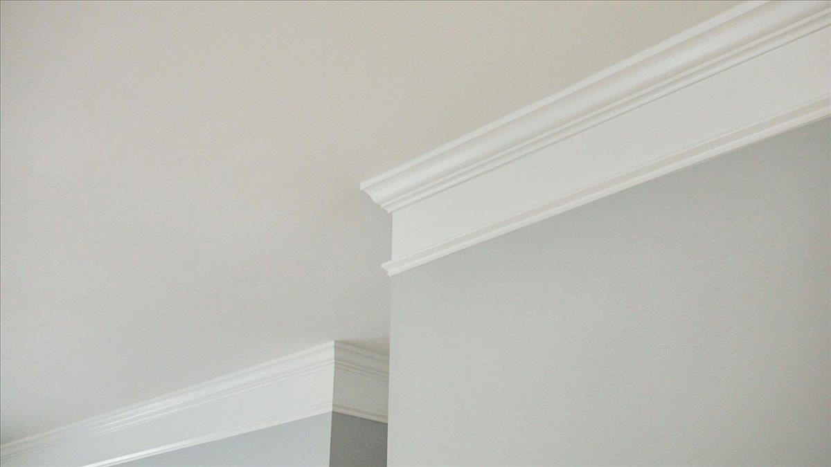 9' ceilings add to the open feel with the double crown molding adding a nice touch of style