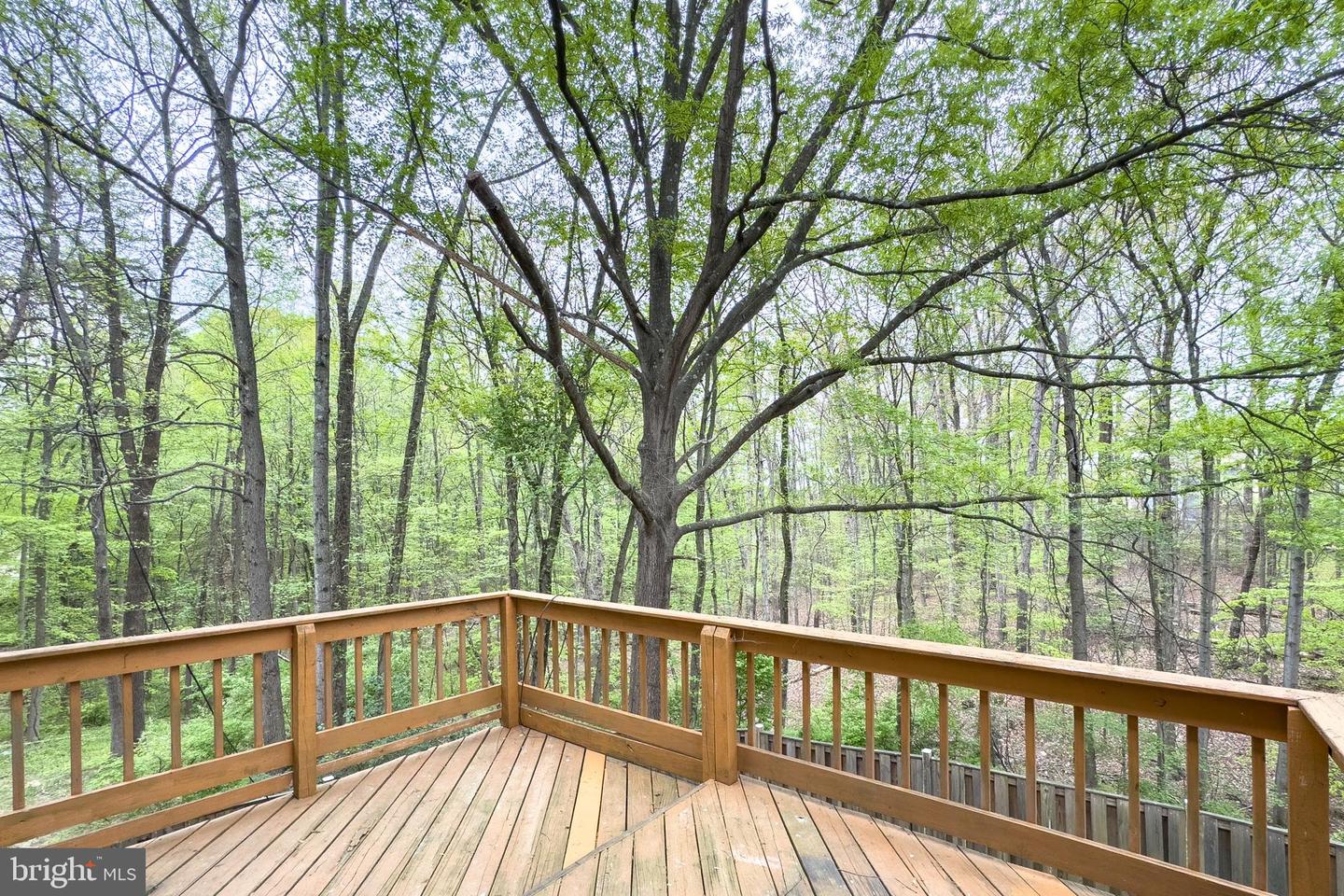 6072 HOLLOW HILL LN, SPRINGFIELD, Virginia 22152, 3 Bedrooms Bedrooms, ,3 BathroomsBathrooms,Residential,For sale,6072 HOLLOW HILL LN,VAFX2234628 MLS # VAFX2234628