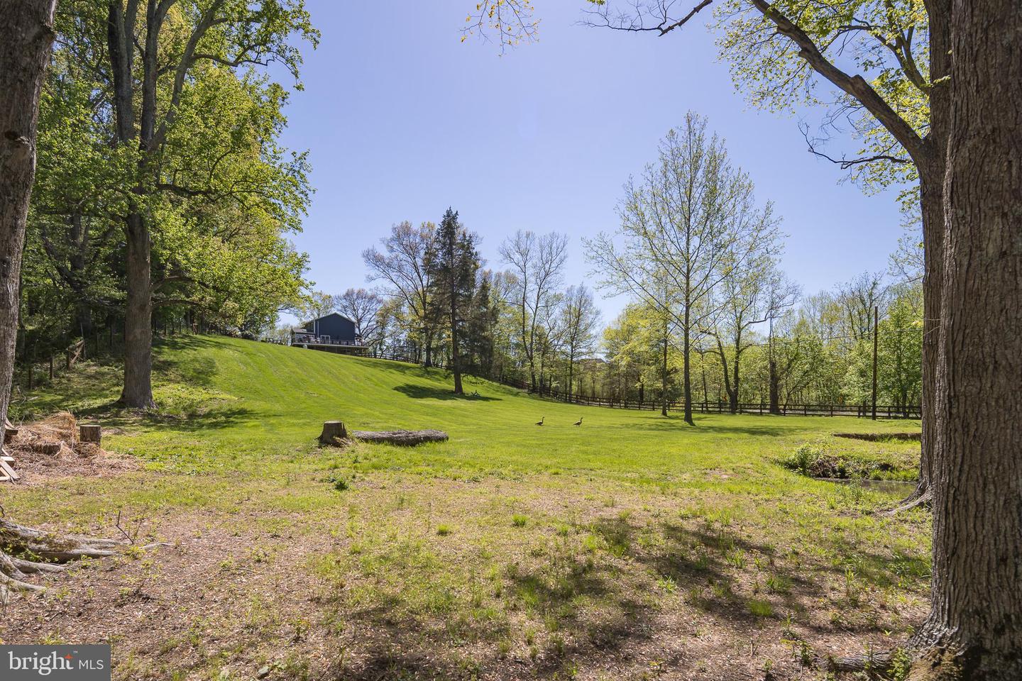 22714 WATSON RD, LEESBURG, Virginia 20175, 4 Bedrooms Bedrooms, ,2 BathroomsBathrooms,Residential,For sale,22714 WATSON RD,VALO2095066 MLS # VALO2095066