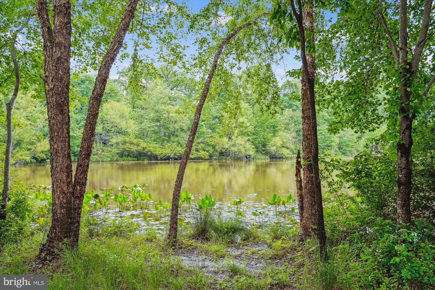 1145 WATER POINTE LN, RESTON, Virginia 20194, 4 Bedrooms Bedrooms, ,3 BathroomsBathrooms,Residential,For sale,1145 WATER POINTE LN,VAFX2237952 MLS # VAFX2237952