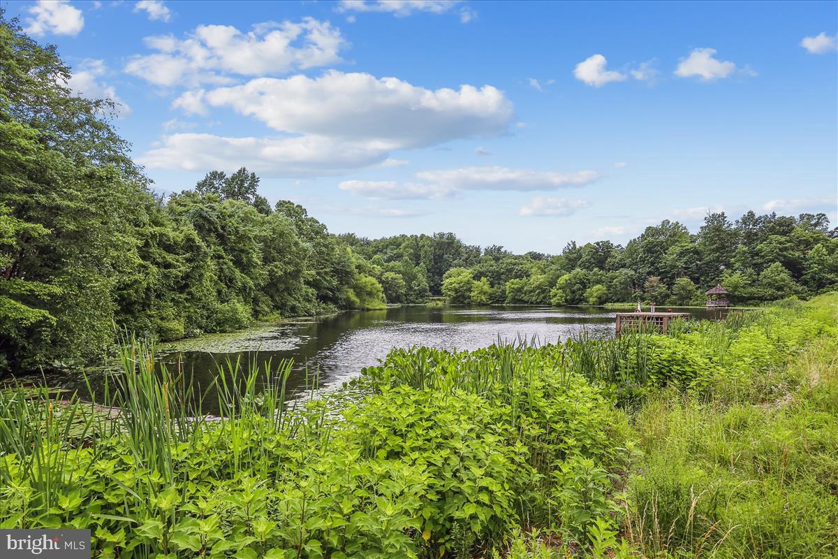 1145 WATER POINTE LN, RESTON, Virginia 20194, 4 Bedrooms Bedrooms, ,3 BathroomsBathrooms,Residential,For sale,1145 WATER POINTE LN,VAFX2237952 MLS # VAFX2237952