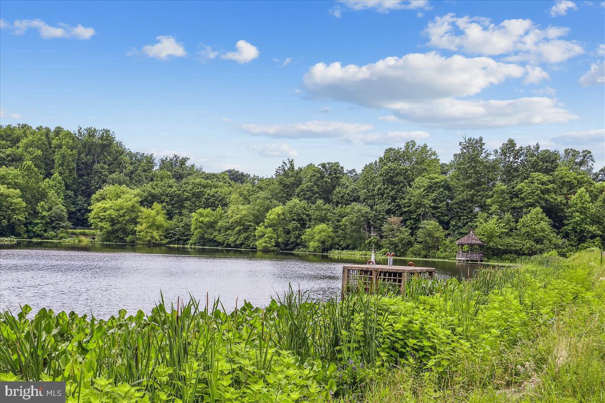 1145 WATER POINTE LN, RESTON, Virginia 20194, 4 Bedrooms Bedrooms, ,3 BathroomsBathrooms,Residential,For sale,1145 WATER POINTE LN,VAFX2237952 MLS # VAFX2237952