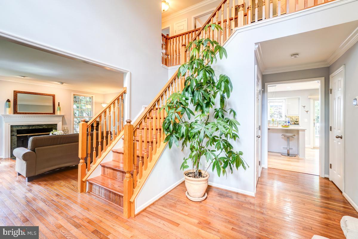 20662 ASHLEAF CT, STERLING, Virginia 20165, 4 Bedrooms Bedrooms, ,3 BathroomsBathrooms,Residential,For sale,20662 ASHLEAF CT,VALO2095436 MLS # VALO2095436