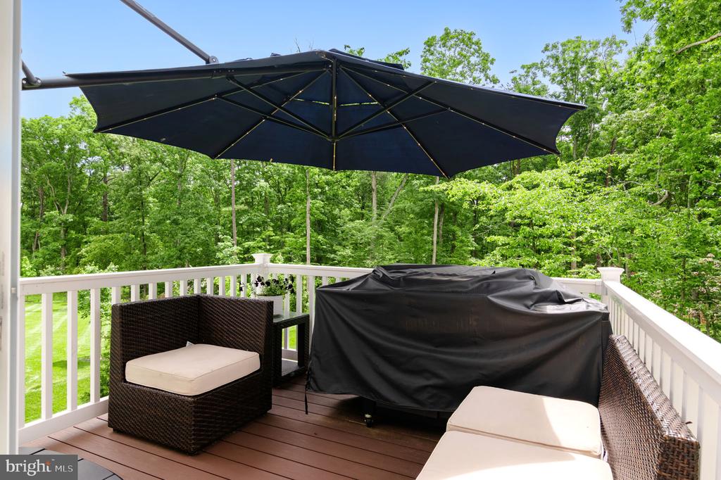 11316 OAKVILLE LN, SPOTSYLVANIA, Virginia 22551, 5 Bedrooms Bedrooms, ,3 BathroomsBathrooms,Residential,11316 OAKVILLE LN,VASP2033036 MLS # VASP2033036