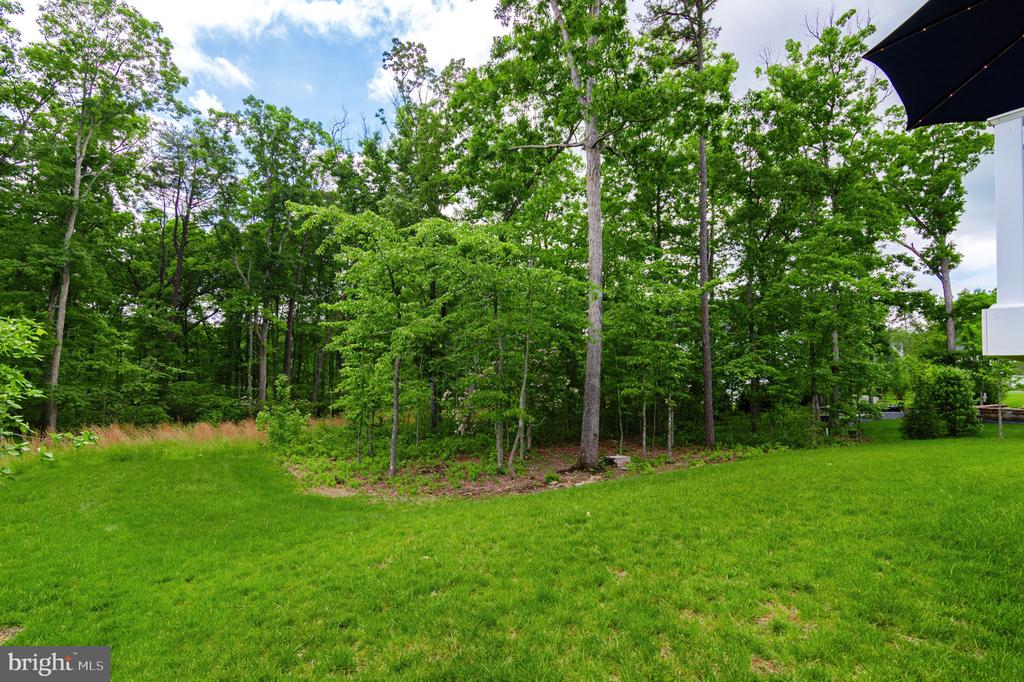 11316 OAKVILLE LN, SPOTSYLVANIA, Virginia 22551, 5 Bedrooms Bedrooms, ,3 BathroomsBathrooms,Residential,11316 OAKVILLE LN,VASP2033036 MLS # VASP2033036