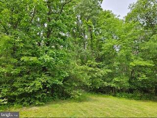 CATLETT SCHOOL ROAD, CATLETT, Virginia 20119, ,Land,For sale,CATLETT SCHOOL ROAD,VAFQ2016684 MLS # VAFQ2016684