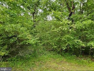 CATLETT SCHOOL ROAD, CATLETT, Virginia 20119, ,Land,For sale,CATLETT SCHOOL ROAD,VAFQ2016684 MLS # VAFQ2016684