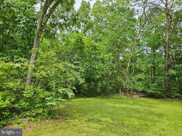 CATLETT SCHOOL ROAD, CATLETT, Virginia 20119, ,Land,For sale,CATLETT SCHOOL ROAD,VAFQ2016684 MLS # VAFQ2016684