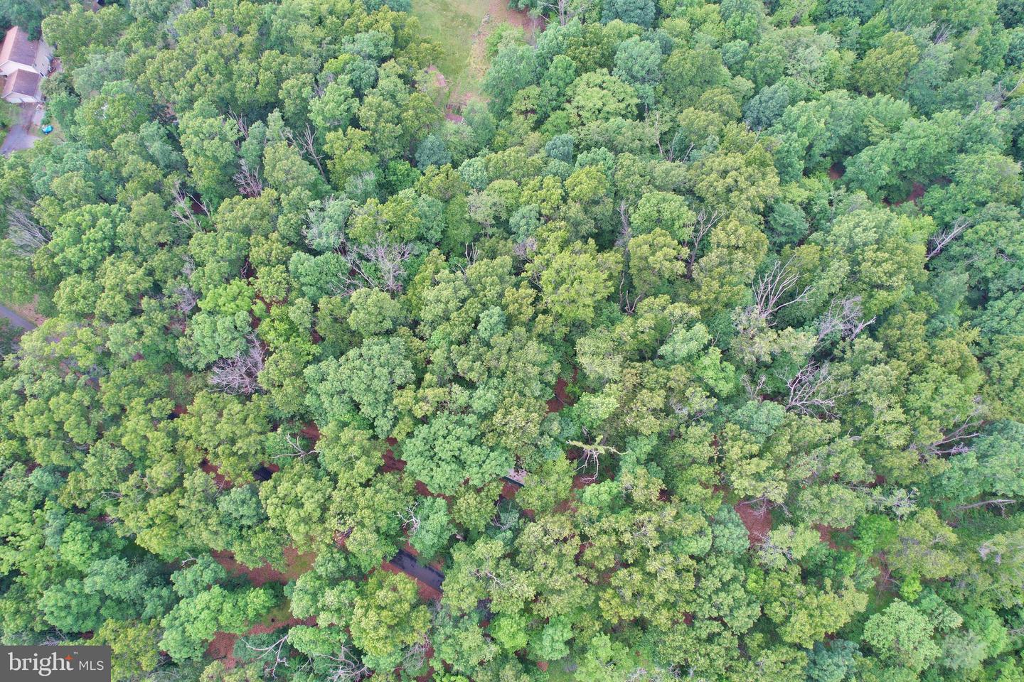 0 INDIAN RIDGE LN, ROCKINGHAM, Virginia 22802, ,Land,For sale,0 INDIAN RIDGE LN,VARO2002318 MLS # VARO2002318