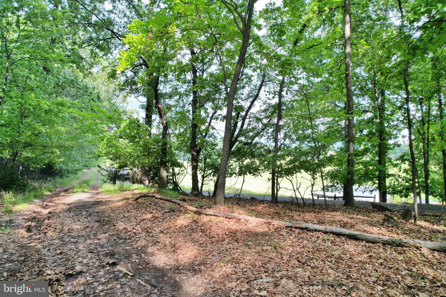 0 INDIAN RIDGE LN, ROCKINGHAM, Virginia 22802, ,Land,For sale,0 INDIAN RIDGE LN,VARO2002318 MLS # VARO2002318