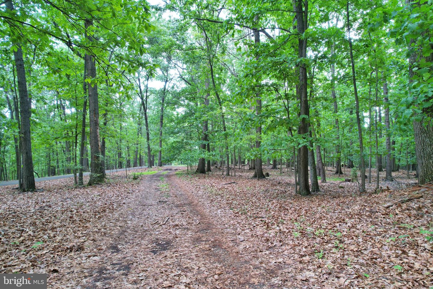0 INDIAN RIDGE LN, ROCKINGHAM, Virginia 22802, ,Land,For sale,0 INDIAN RIDGE LN,VARO2002318 MLS # VARO2002318