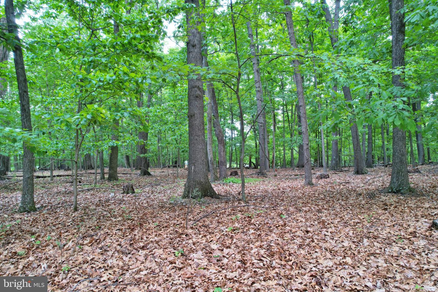 0 INDIAN RIDGE LN, ROCKINGHAM, Virginia 22802, ,Land,For sale,0 INDIAN RIDGE LN,VARO2002318 MLS # VARO2002318