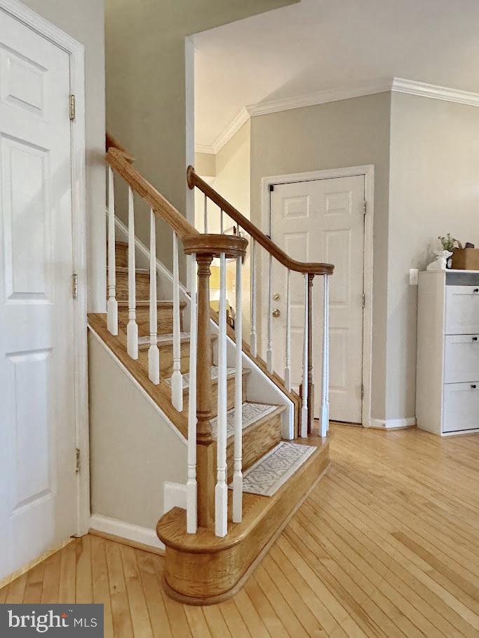 4065 CHATHAM DR, KING GEORGE, Virginia 22485, 5 Bedrooms Bedrooms, ,3 BathroomsBathrooms,Residential,For sale,4065 CHATHAM DR,VAKG2006380 MLS # VAKG2006380