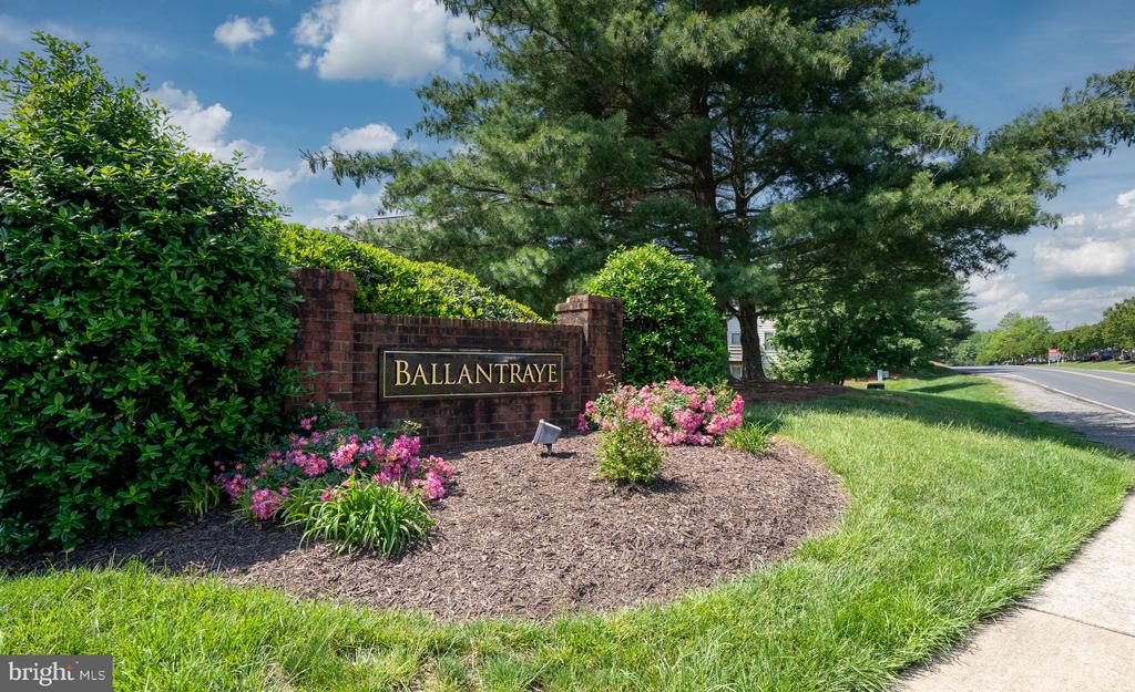 10718 BRICE CT, FREDERICKSBURG, Virginia 22407, 3 Bedrooms Bedrooms, ,3 BathroomsBathrooms,Residential,BALLANTRAYE,10718 BRICE CT,VASP2032796 MLS # VASP2032796