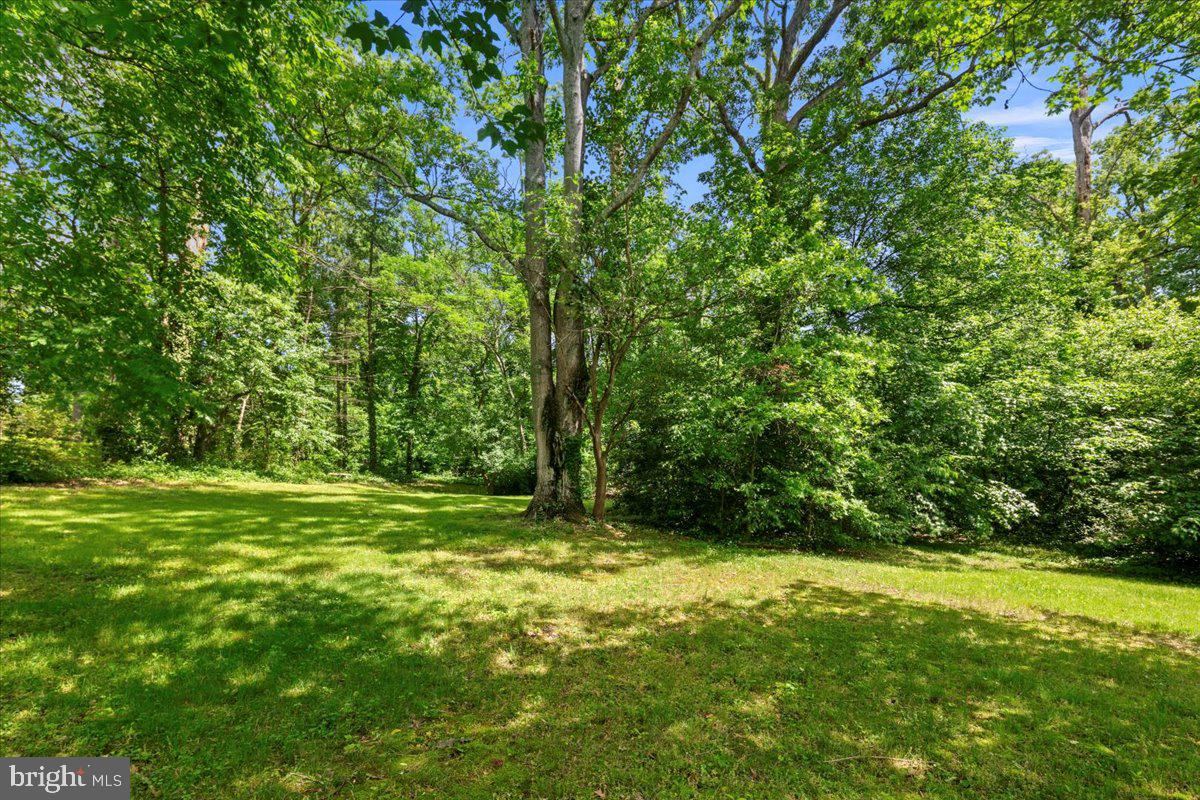 8815 BEAUCHAMP DR, ALEXANDRIA, Virginia 22309, 4 Bedrooms Bedrooms, ,3 BathroomsBathrooms,Residential,For sale,8815 BEAUCHAMP DR,VAFX2239142 MLS # VAFX2239142