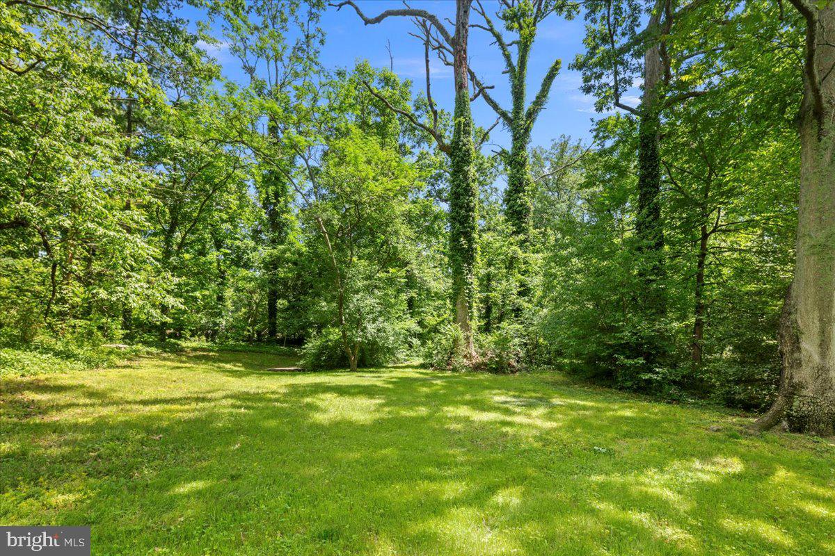 8815 BEAUCHAMP DR, ALEXANDRIA, Virginia 22309, 4 Bedrooms Bedrooms, ,3 BathroomsBathrooms,Residential,For sale,8815 BEAUCHAMP DR,VAFX2239142 MLS # VAFX2239142