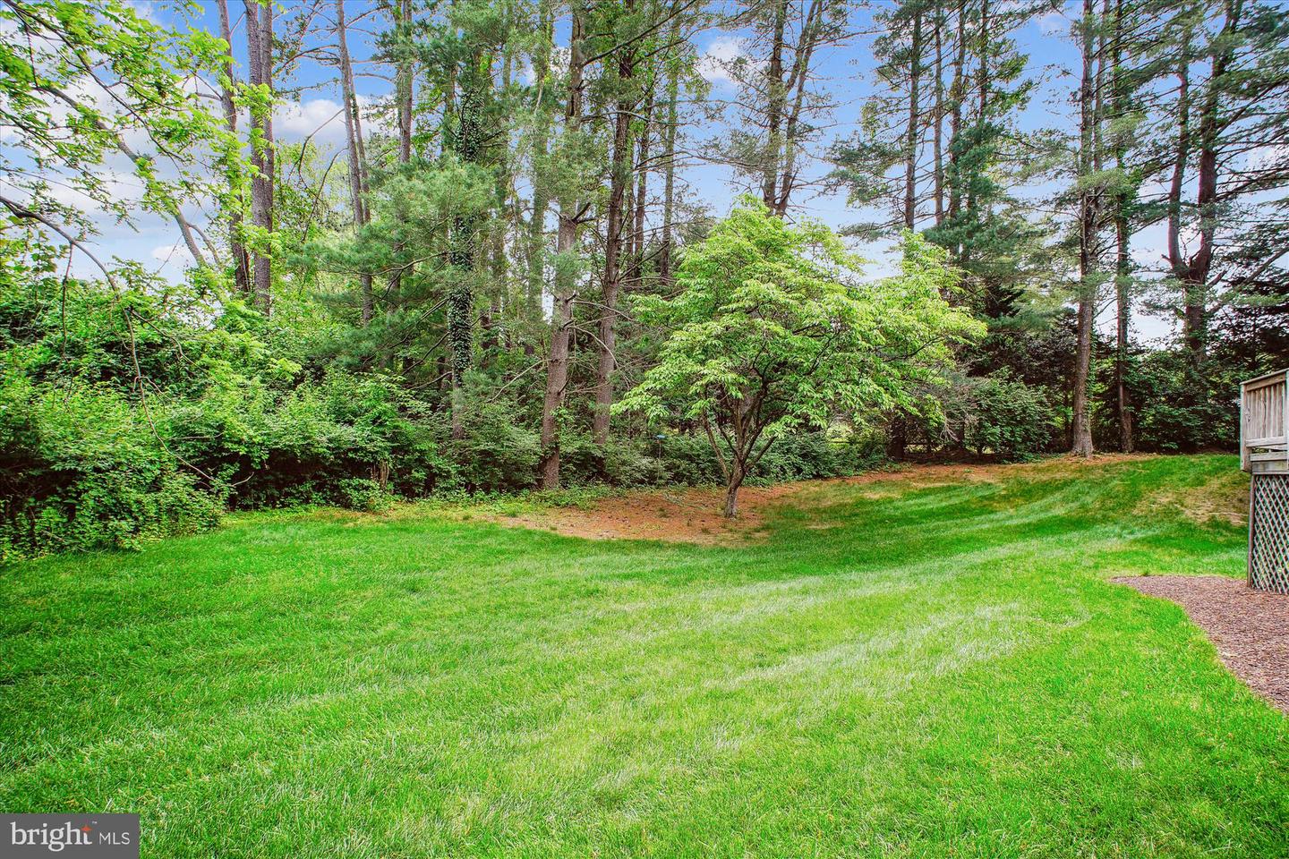 9532 LOCUST HILL DR, GREAT FALLS, Virginia 22066, 5 Bedrooms Bedrooms, ,3 BathroomsBathrooms,Residential,For sale,9532 LOCUST HILL DR,VAFX2239222 MLS # VAFX2239222